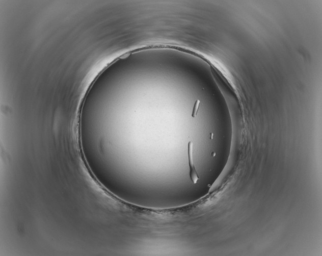 X0000090920911200708061540