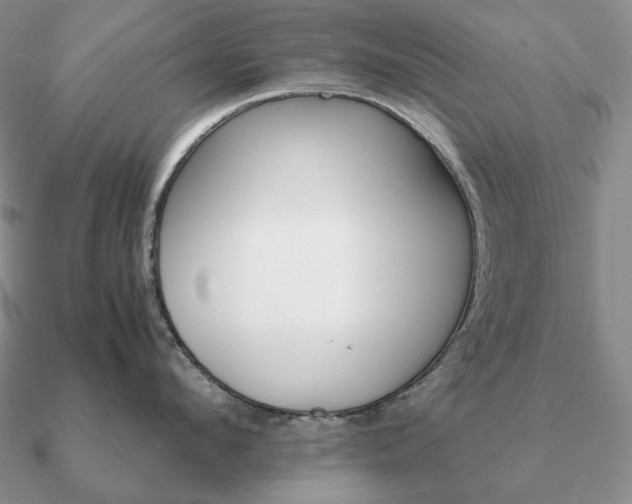 X0000090920912200708061540