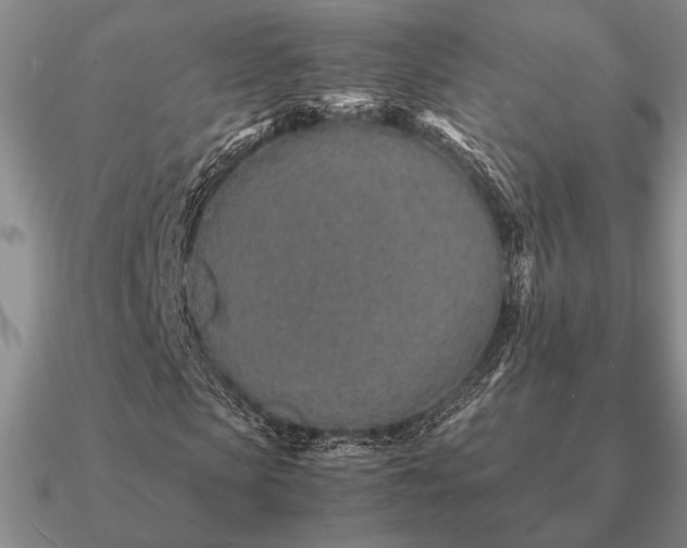 X0000090920913200708061540