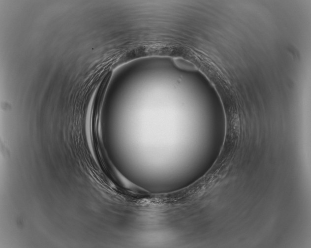 X0000090920914200708061540