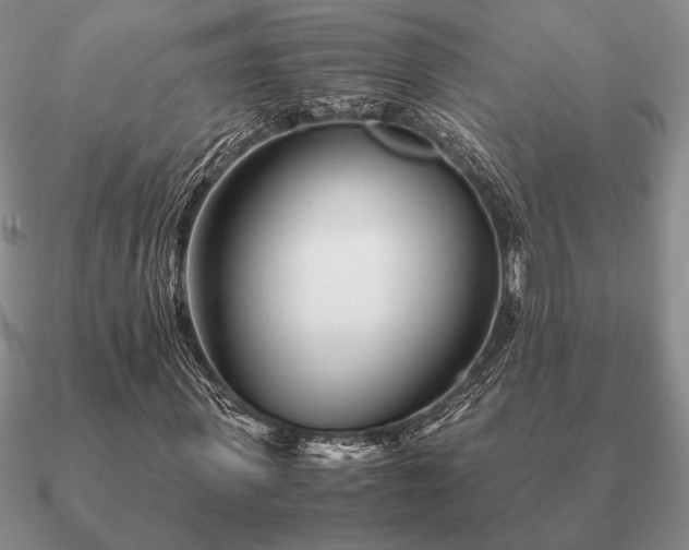 X0000090920915200708061540