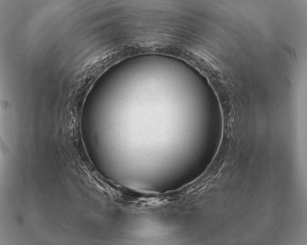 X0000090920917200708061540