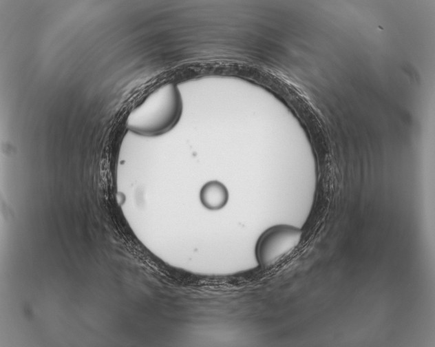 X0000090920918200708061540