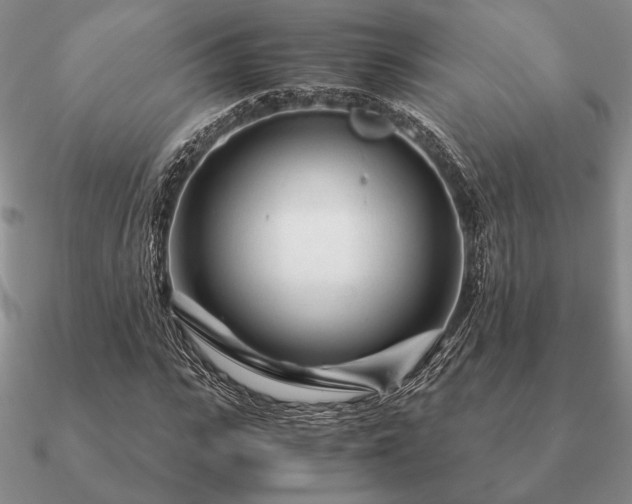 X0000090920919200708061540