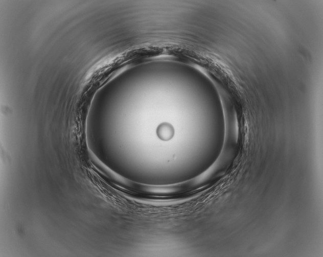 X0000090920920200708061540