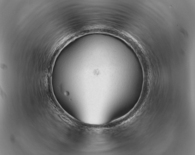 X0000090920921200708061540