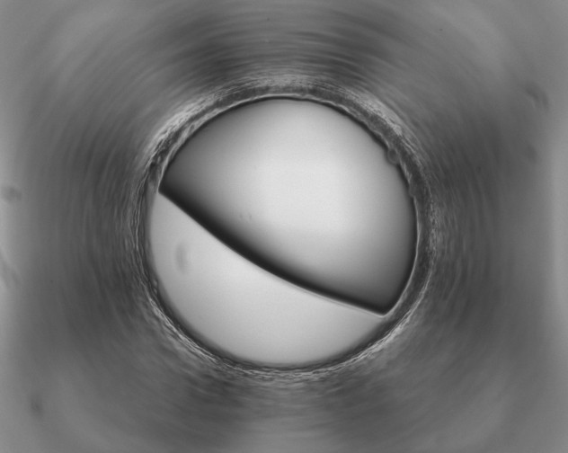 X0000090920922200708061540