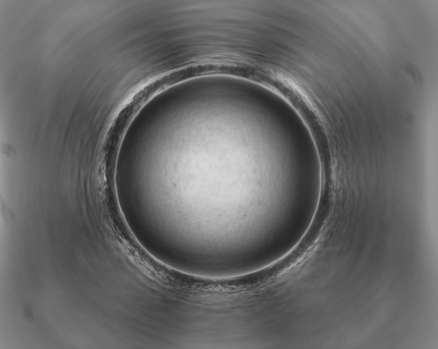 X0000090920923200708061540