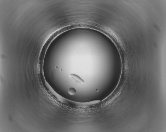 X0000090920924200708061540