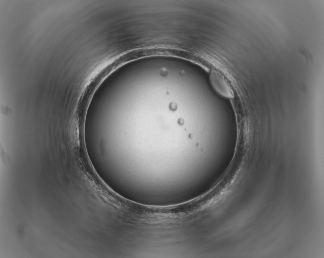 X0000090920925200708061540