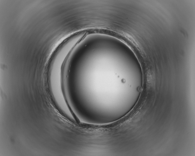 X0000090920926200708061540