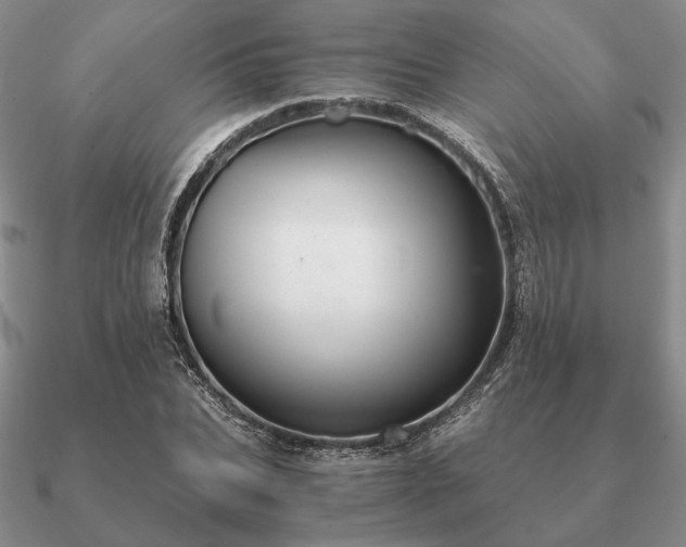 X0000090920927200708061540