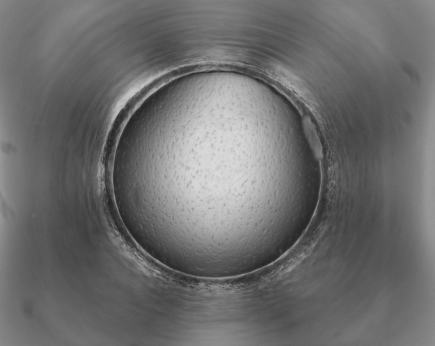 X0000090920928200708061540