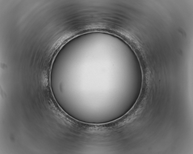 X0000090920929200708061540