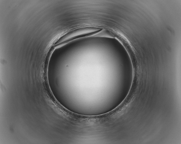 X0000090920930200708061540