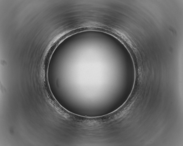 X0000090920931200708061540