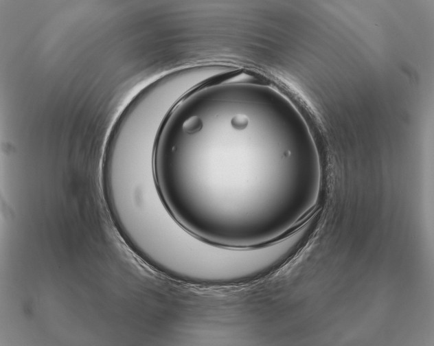 X0000090920932200708061540