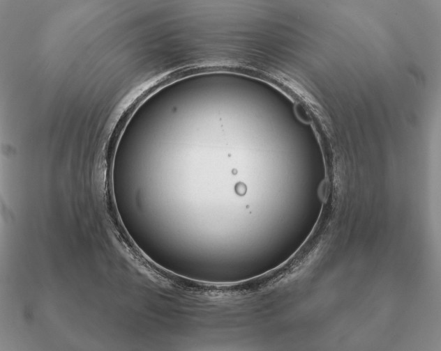 X0000090920933200708061540