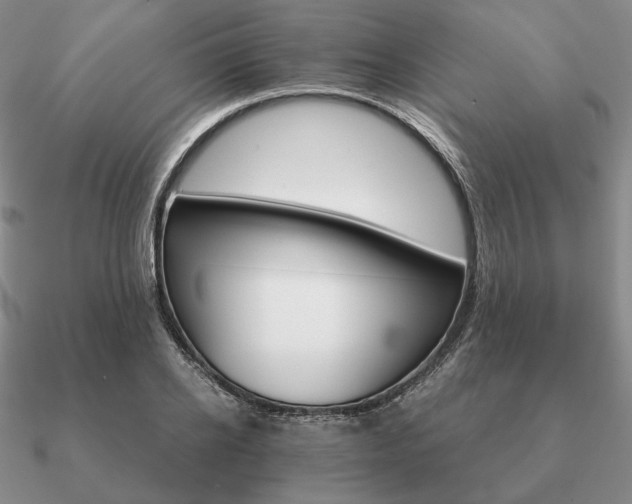 X0000090920934200708061540