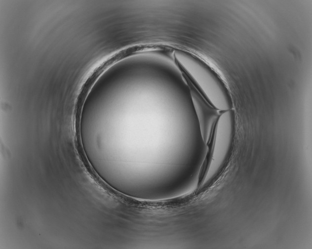 X0000090920935200708061540