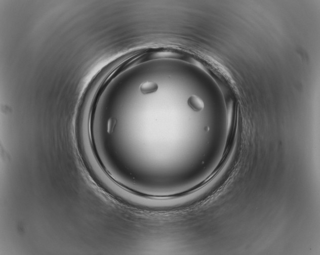 X0000090920936200708061540