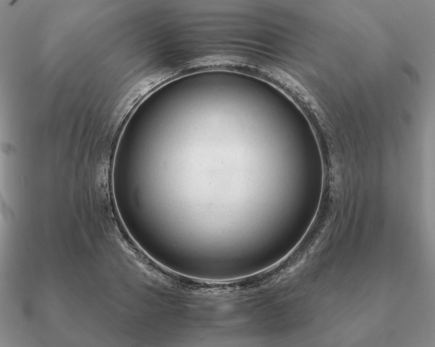 X0000090920937200708061540