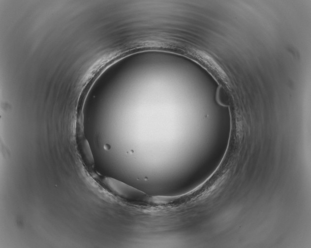 X0000090920938200708061540