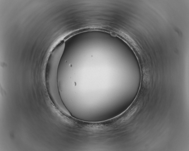 X0000090920939200708061540