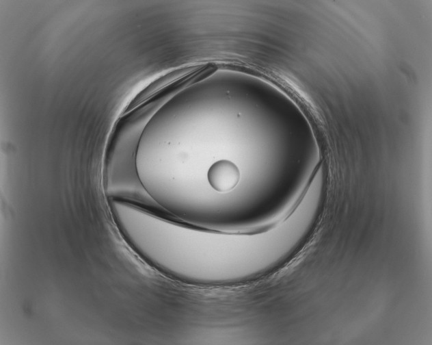 X0000090920940200708061540