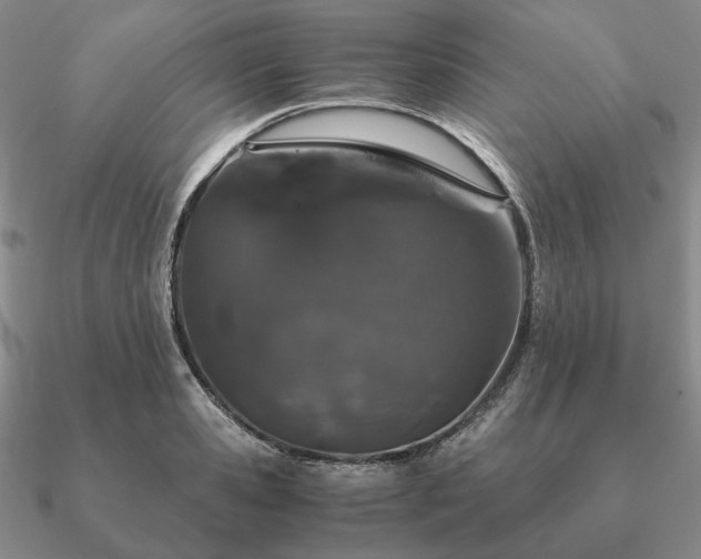 X0000090920941200708061540