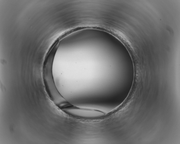 X0000090920942200708061540