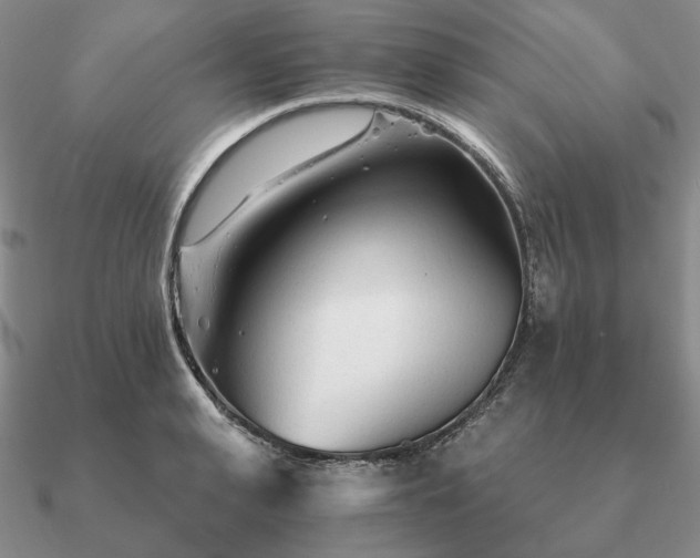 X0000090920943200708061540