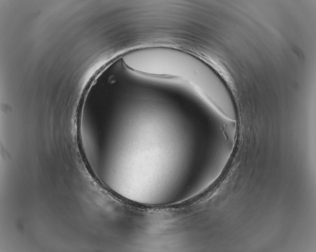 X0000090920944200708061540