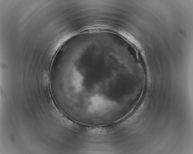 X0000090920945200708061540