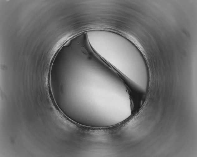 X0000090920946200708061540