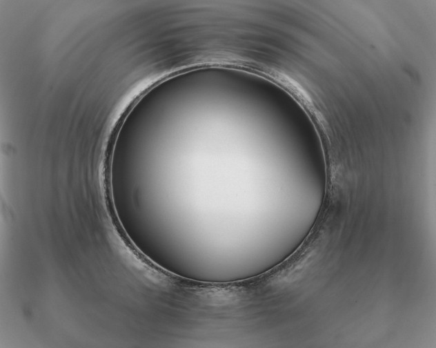 X0000090920947200708061540