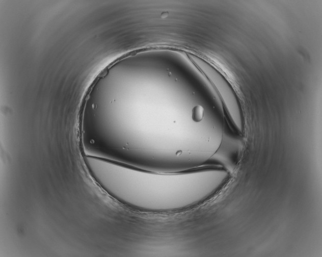 X0000090920948200708061540