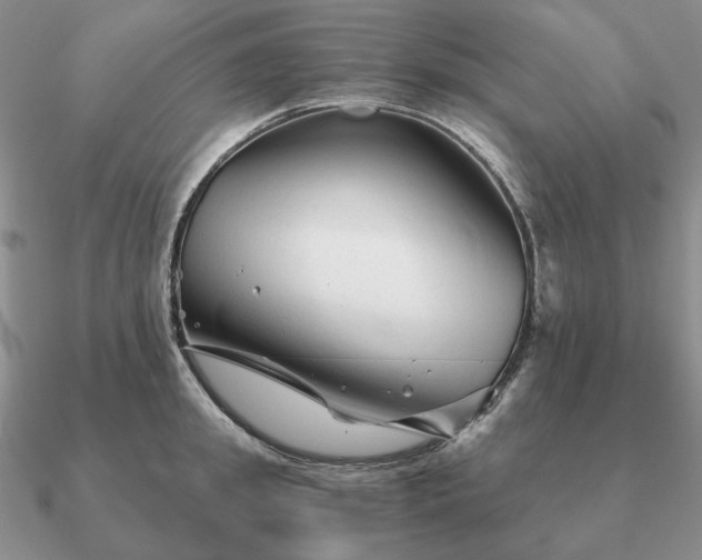 X0000090920949200708061540