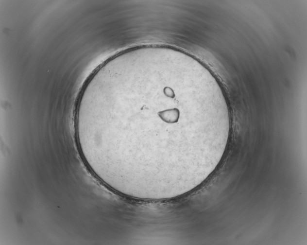 X0000090920950200708061540