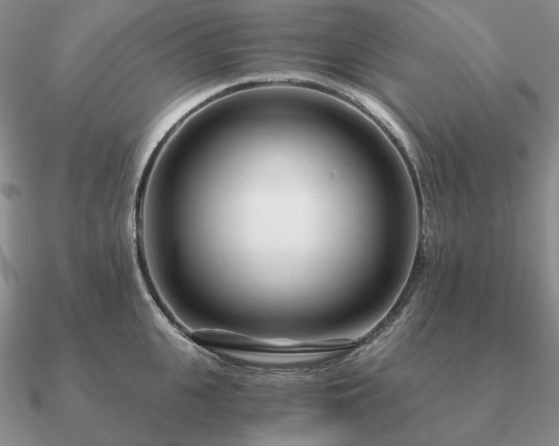 X0000090920951200708061540