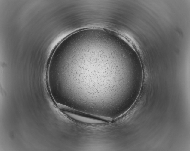 X0000090920952200708061540