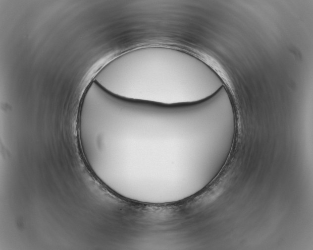 X0000090920954200708061540