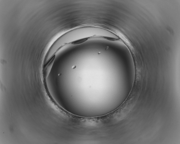 X0000090920955200708061540