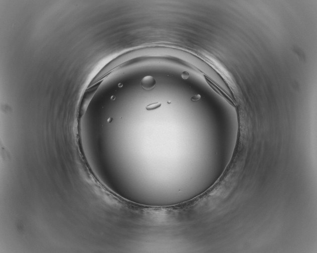 X0000090920956200708061540