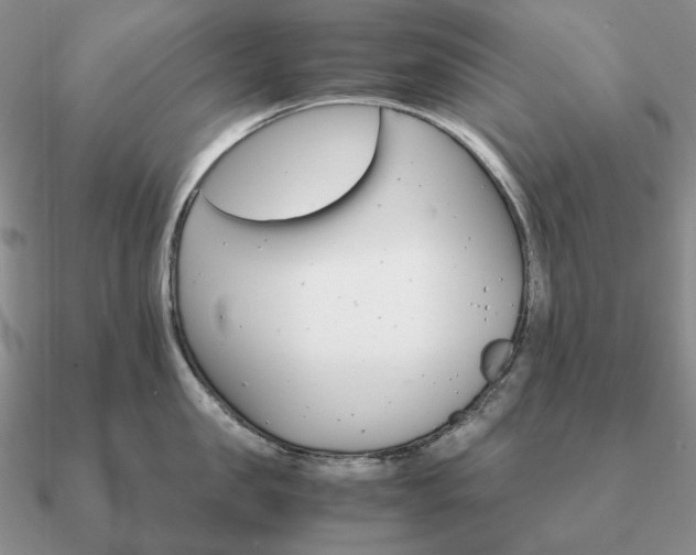 X0000090920957200708061540