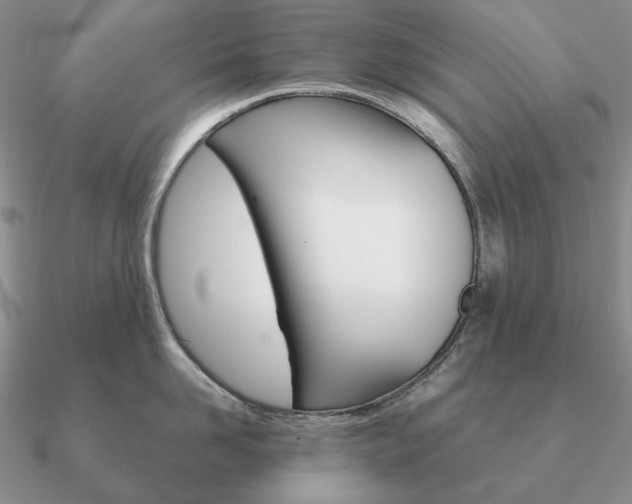 X0000090920958200708061540