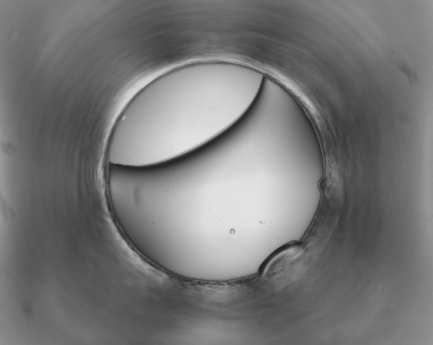 X0000090920959200708061540