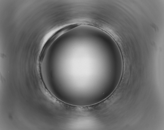 X0000090920960200708061540