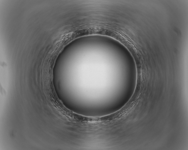 X0000090920961200708061540