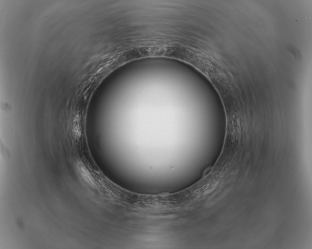 X0000090920962200708061540